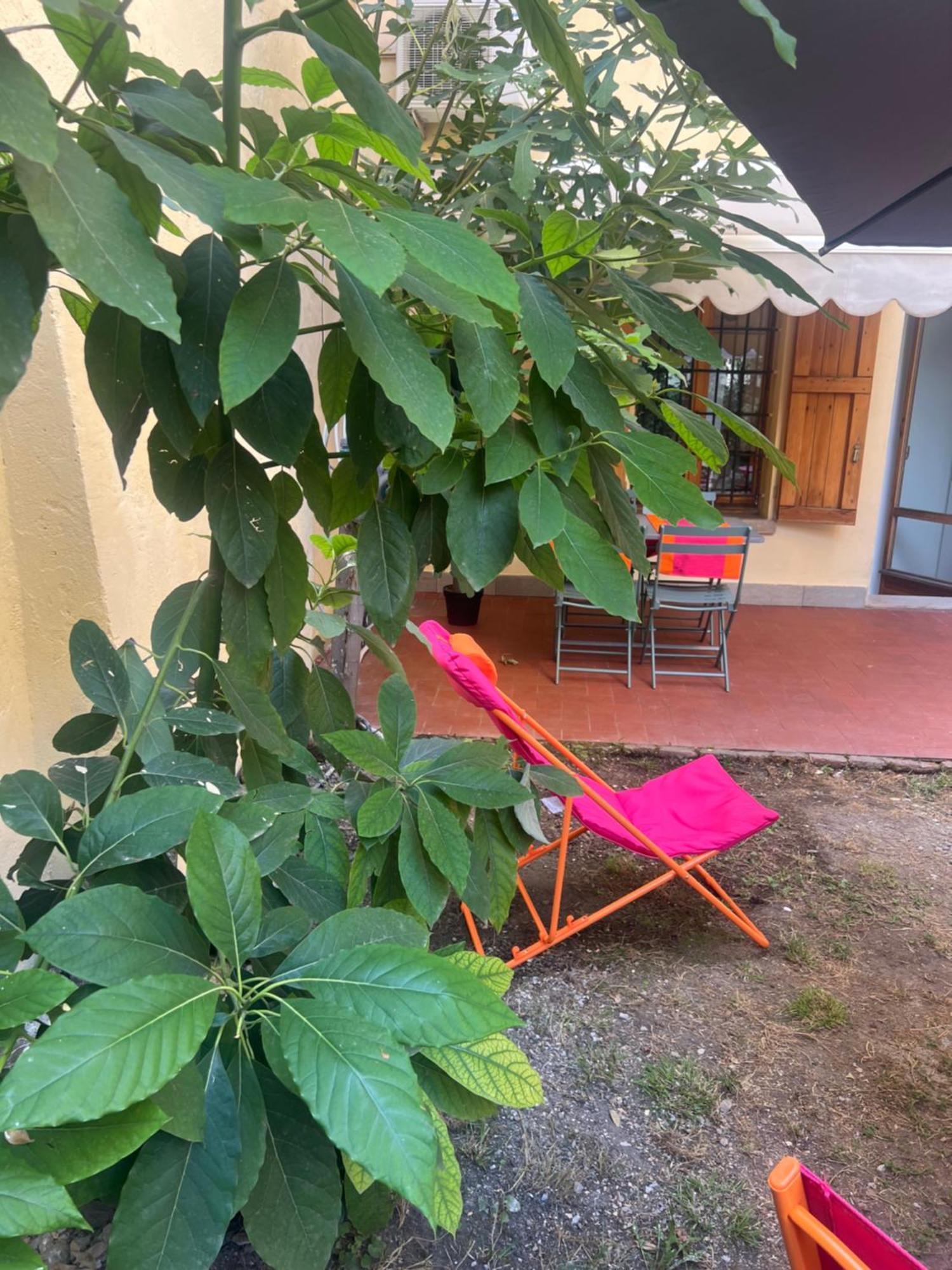 Teagarden Centro Storico Bologna公寓 外观 照片